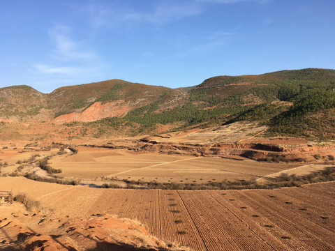 山坳里的农田