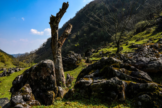 高山风光