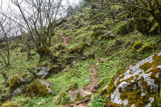 云南高山风光