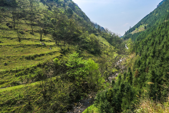 高山峡谷