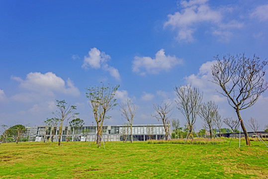 光明科学城展示中心