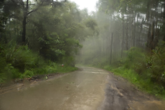 透过雨中玻璃