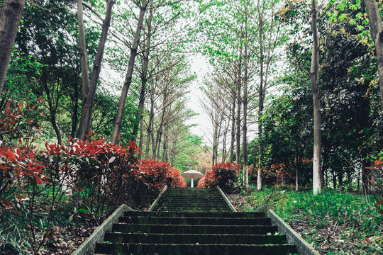 九江学院风景