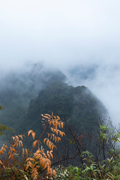 阳朔美丽的晨雾景观