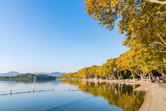 杭州西湖秋天的风景