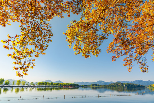 杭州西湖秋景