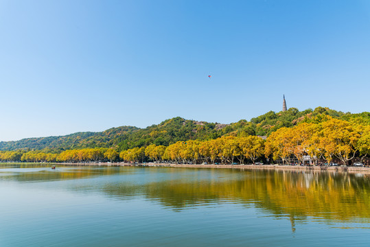 杭州西湖的秋天