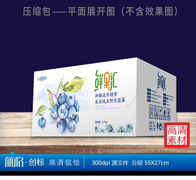 蓝莓鲜果汇包装箱