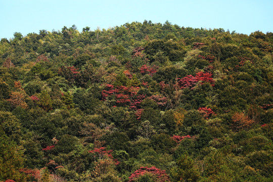 山色背景