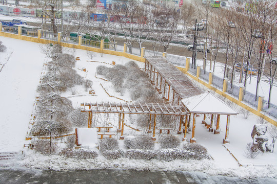 花园亭廊树木树丛雪景俯视图