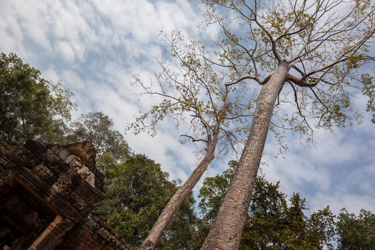 世界文化遗产柬埔寨塔普伦寺