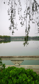 生态公园湖畔美景