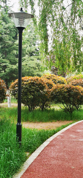 公园路灯健康步道