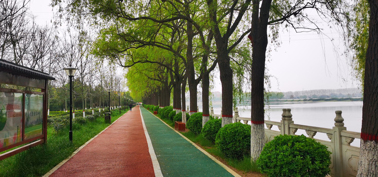 郏县青龙湖公园健康步道