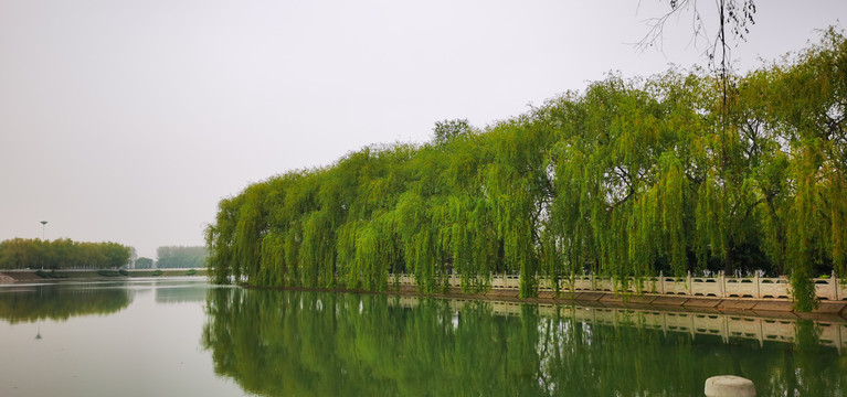 郏县青龙湖美景