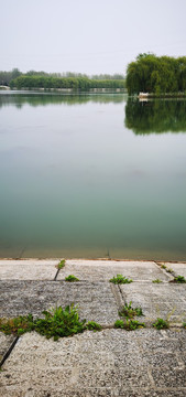 湖畔风光