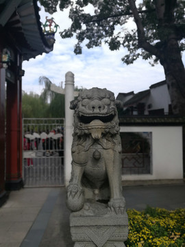 中国石狮子