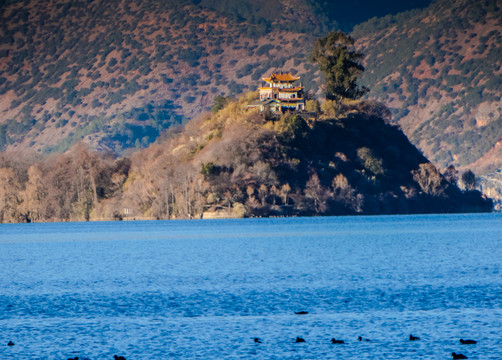 泸沽湖里务比岛