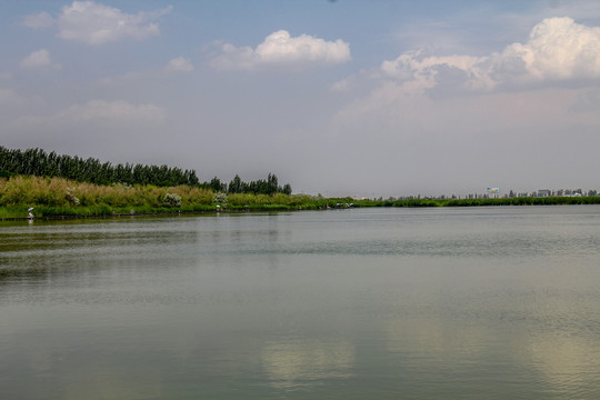 宁夏银川鸣翠湖国家湿地公园