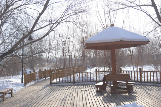 冬季公园的木质凉亭