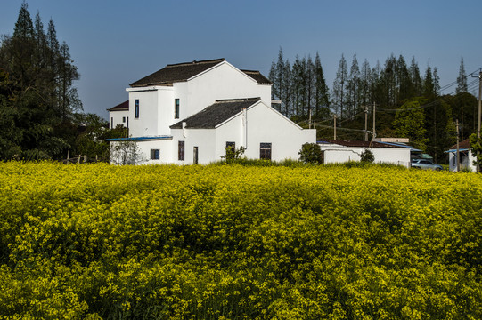 江南农村