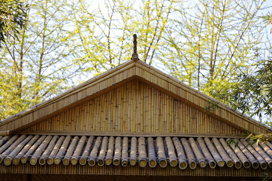 竹子建造的屋顶