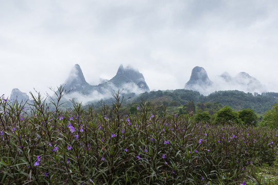 美丽的阳朔风光