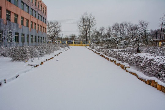 铺着雪的人行路与一侧挂雪树木