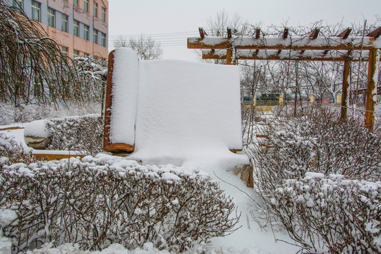 校园的树木丛与书卷式造型雪景