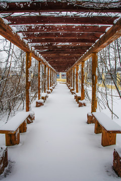 校园花园长廊与廊下的小路雪景