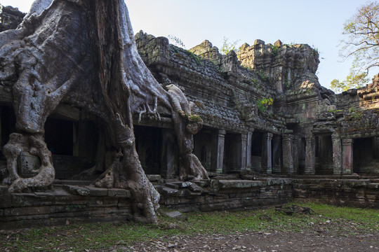 柬埔寨吴哥窟塔布茏寺