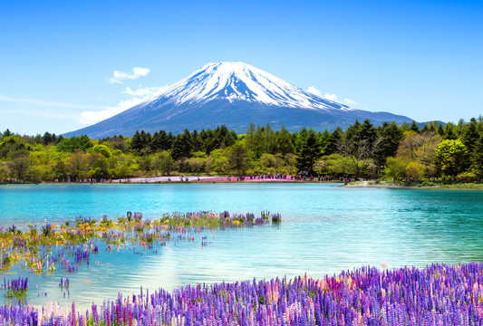 富士山