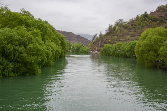 青山绿水