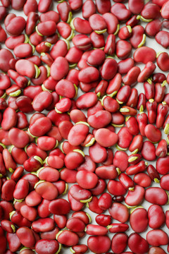 红胡豆背景图