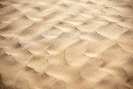 沙漠沙丘纹理