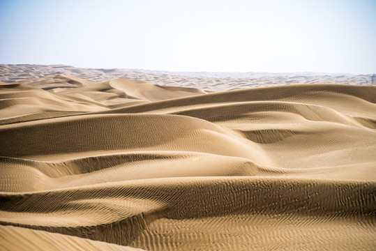 沙漠中的金色沙丘特写