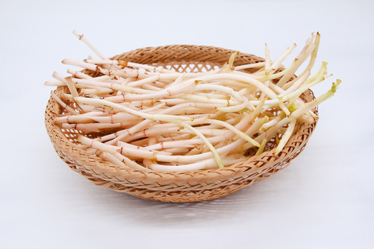 折耳根