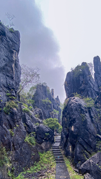 雨后山林