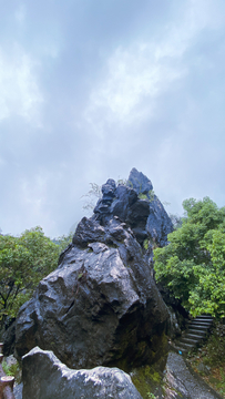 雨后山林