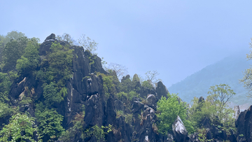 雨后山林