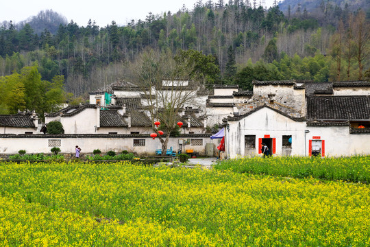 西递古村景区