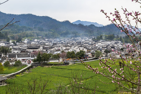 西递古村景区