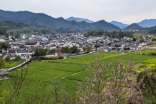 西递古村景区