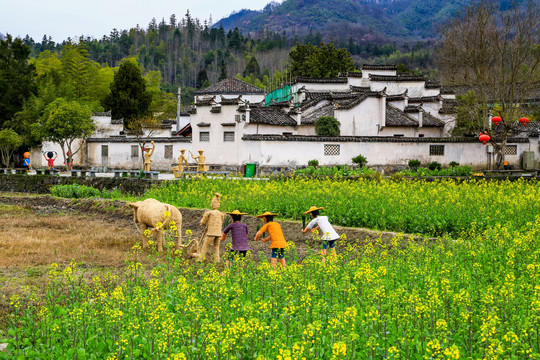 西递古村景区