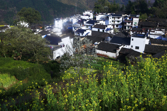 婺源查平坦村