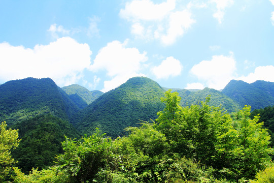 丰溪鸡心岭三