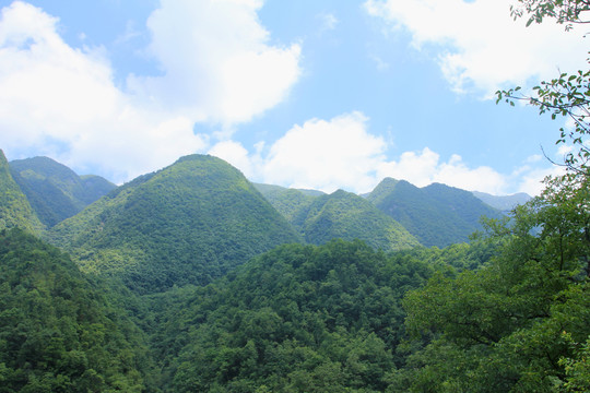 丰溪鸡心岭二