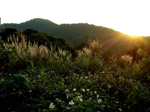 山野日落