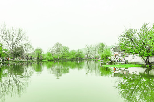 青山绿水风景画