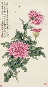 于非闇大丽花